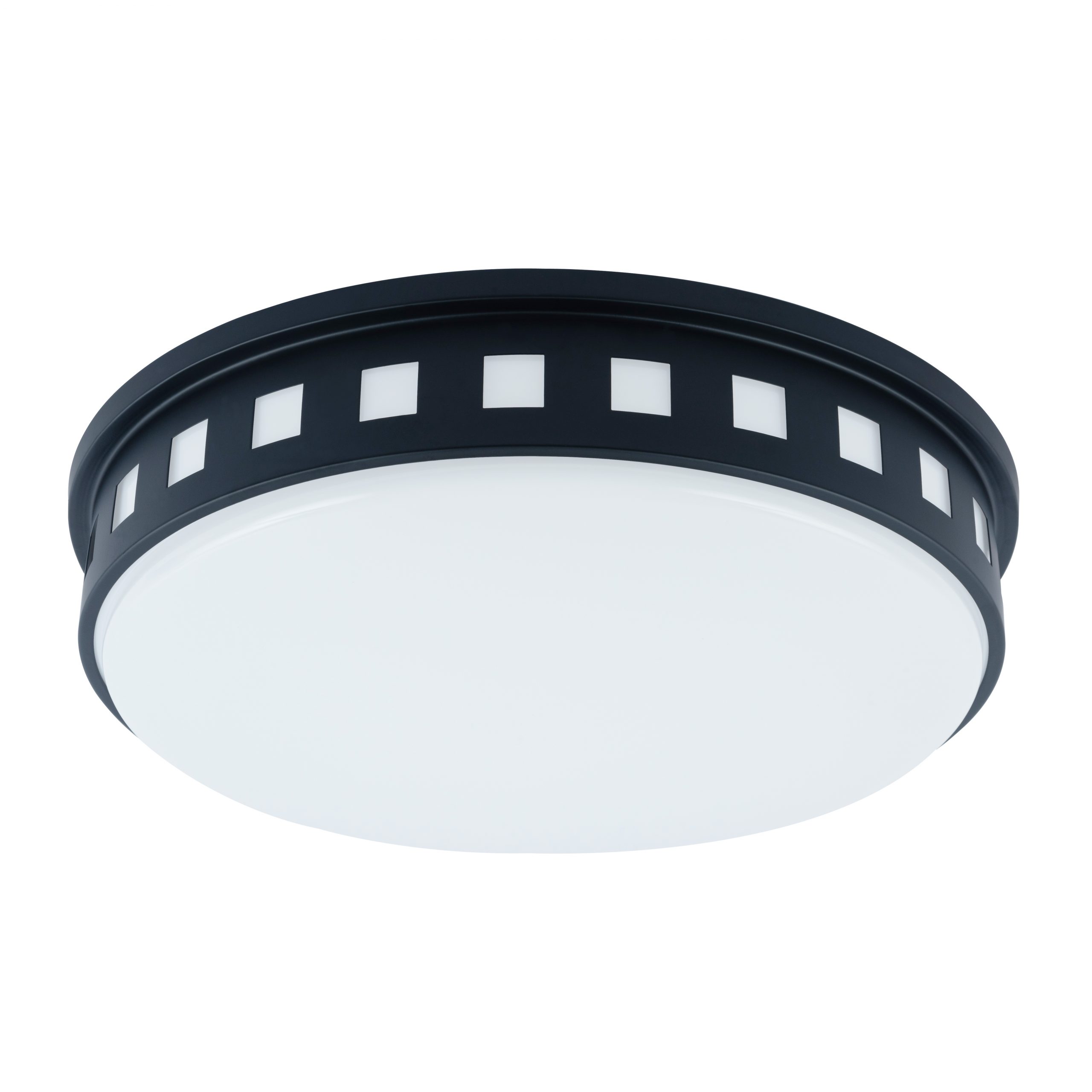 Modern Black Flush Mount LED Ceiling Lamp